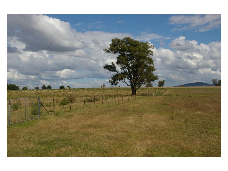 Middle Creek Road, Cowra NSW 2794