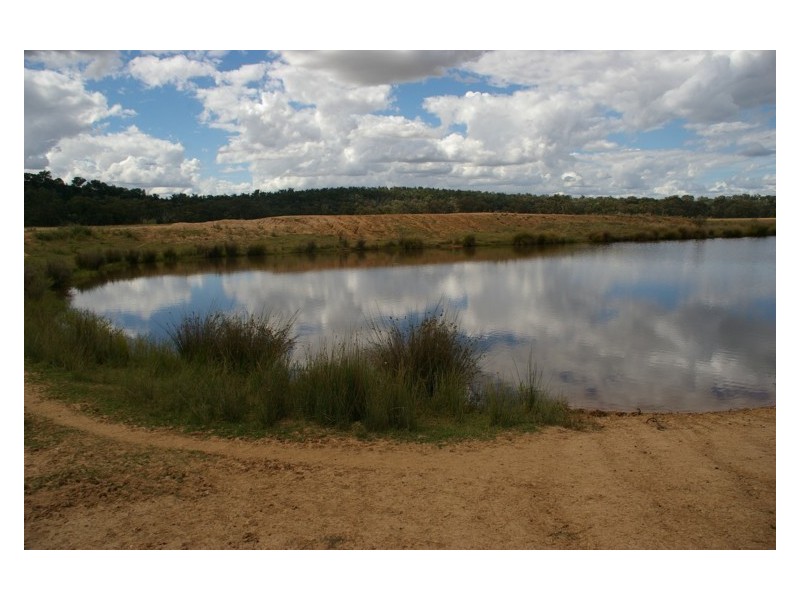 Middle Creek Road, Cowra NSW 2794