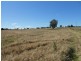 Lot 4, 161 Elouera Road, Cowra NSW 2794