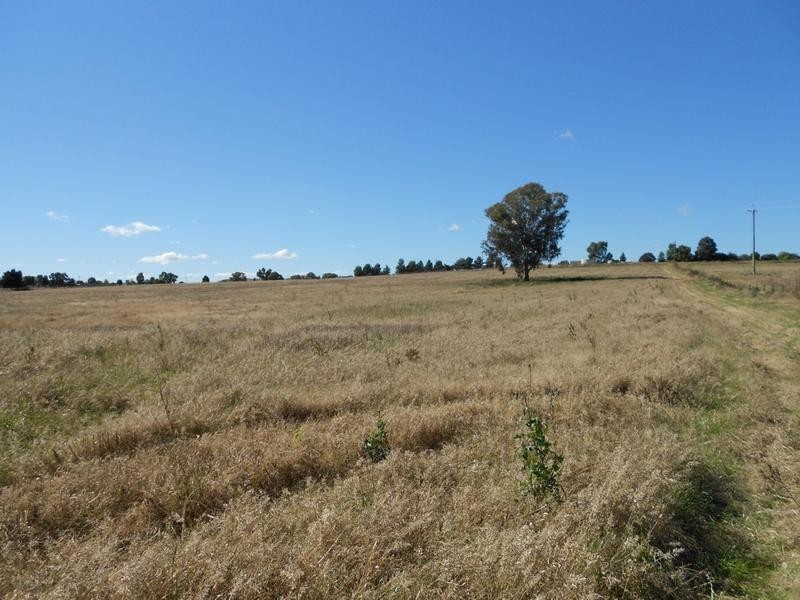 Lot 4, 161 Elouera Road, Cowra NSW 2794