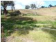 3241 Frogmore Road, Hovells Creek NSW 2794