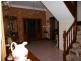 9 Fish Fossil Drive, Canowindra NSW 2804