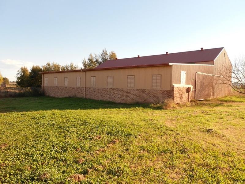 9 Fish Fossil Drive, Canowindra NSW 2804