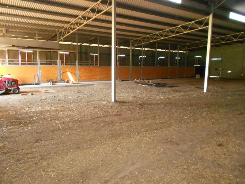 9 Fish Fossil Drive, Canowindra NSW 2804