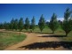 265 Camp Road, Cowra NSW 2794
