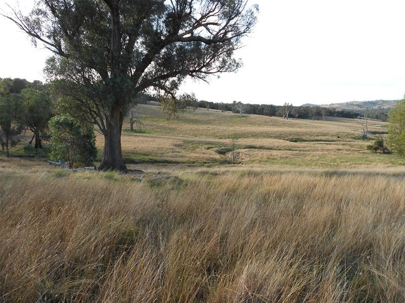 3641 Frogmore Road, Hovells Creek NSW 2794