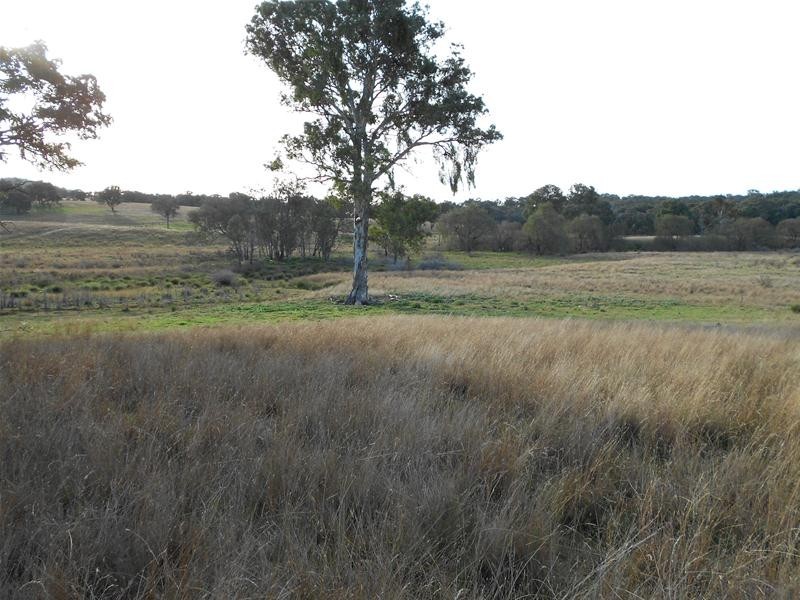 3641 Frogmore Road, Hovells Creek NSW 2794