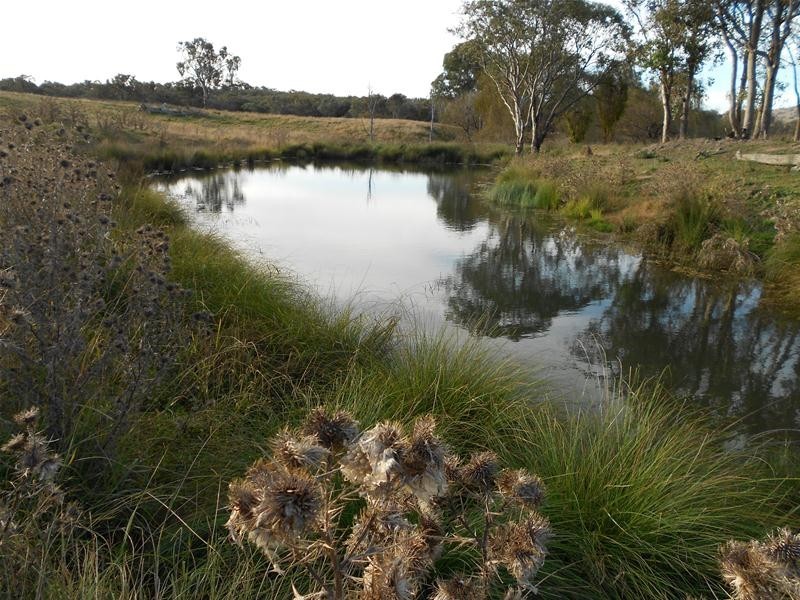 3641 Frogmore Road, Hovells Creek NSW 2794