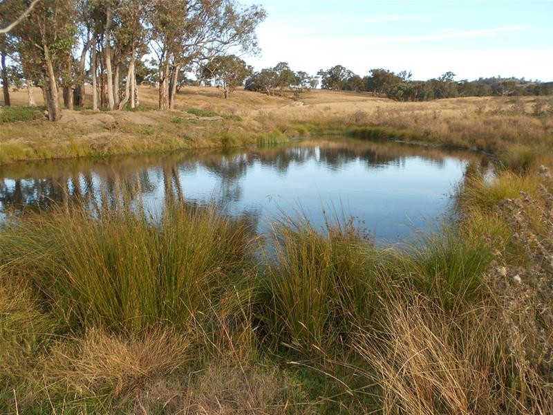 3641 Frogmore Road, Hovells Creek NSW 2794