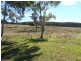 1297 Kemps Road, Cowra NSW 2794