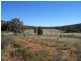 1297 Kemps Road, Cowra NSW 2794