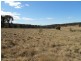 1297 Kemps Road, Cowra NSW 2794