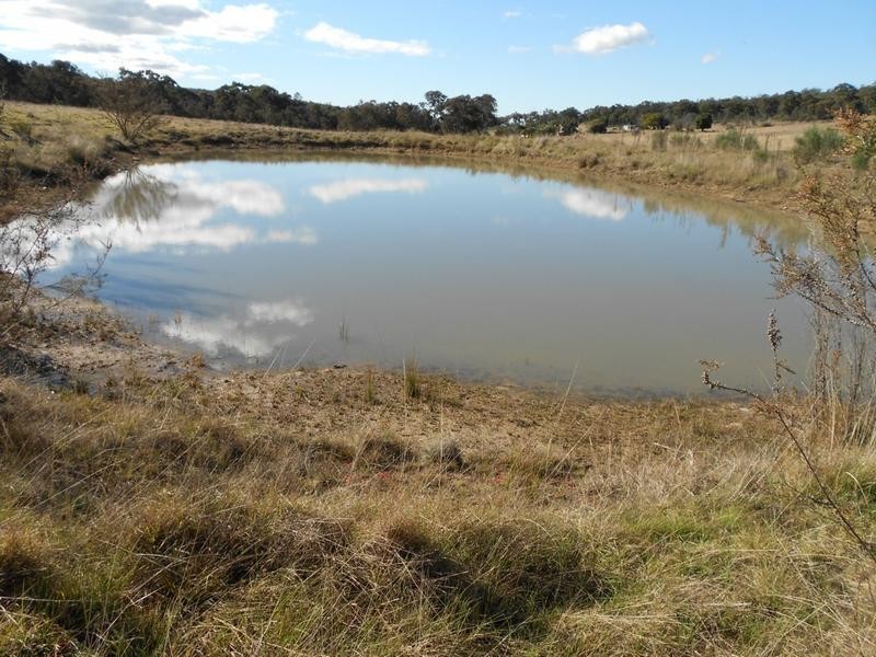 1297 Kemps Road, Cowra NSW 2794