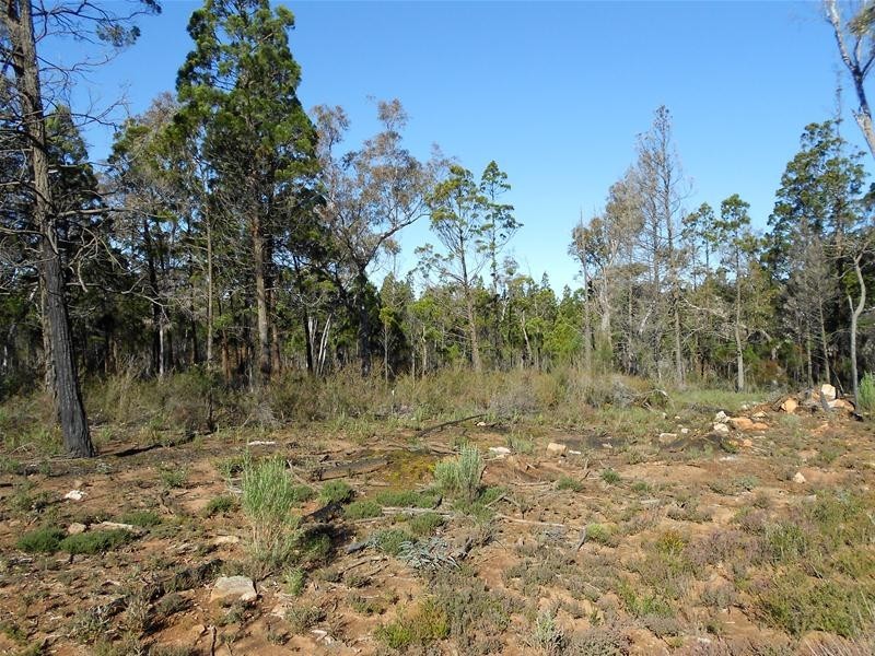 Lot/86 Kemps Road, Cowra NSW 2794