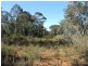 Lot/86 Kemps Road, Cowra NSW 2794