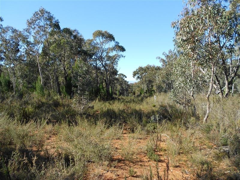 Lot/86 Kemps Road, Cowra NSW 2794