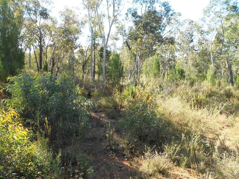 Lot/86 Kemps Road, Cowra NSW 2794