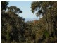 Lot/86 Kemps Road, Cowra NSW 2794