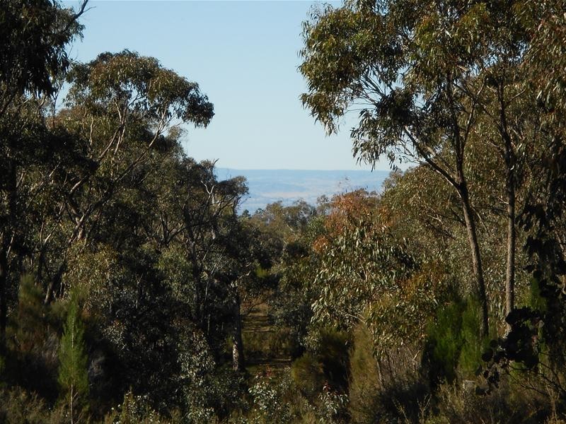 Lot/86 Kemps Road, Cowra NSW 2794