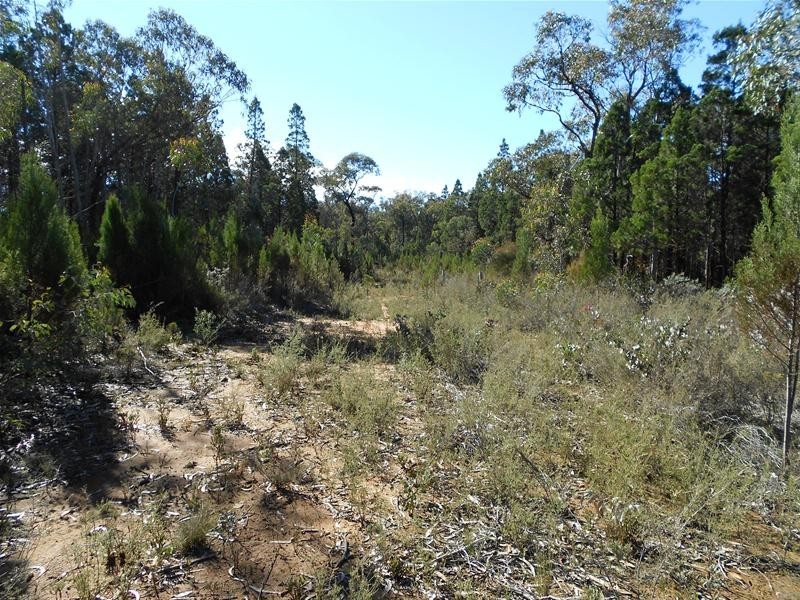 Lot/86 Kemps Road, Cowra NSW 2794