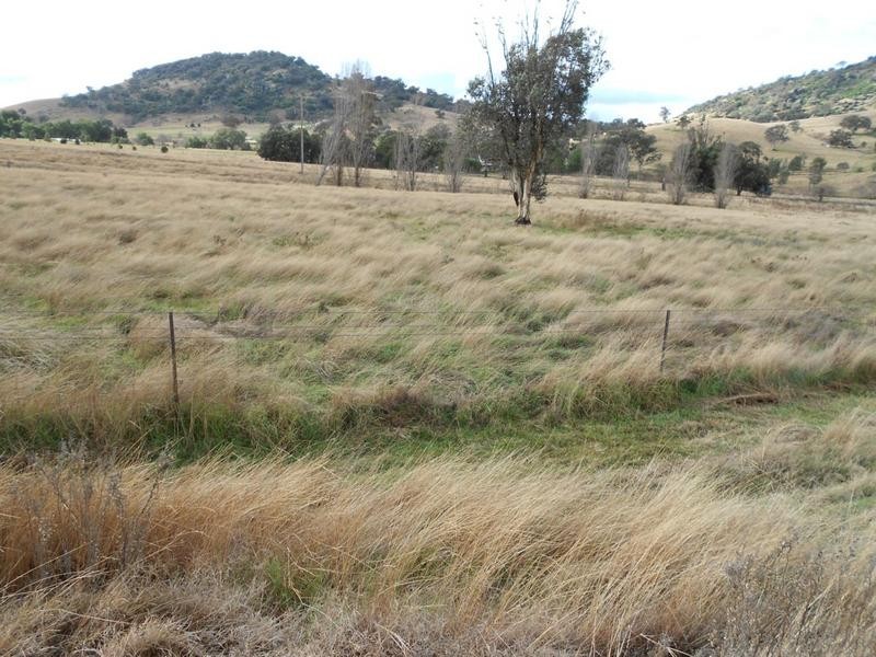 Lot 1,  Glen Avon Road, Darbys Falls NSW 2793