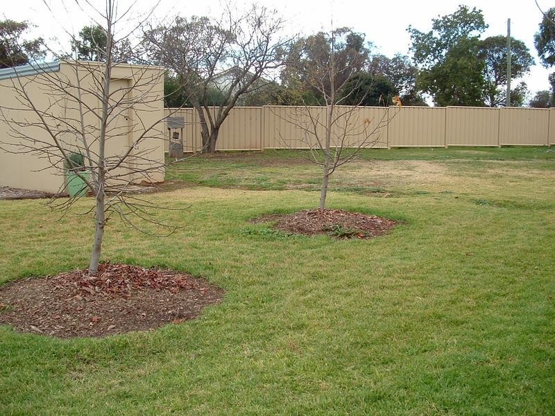 16 Thurburn Street, Wattamondara NSW 2794