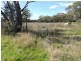 139,140 & 142 Flagstone Street, Cookamidgera NSW 2870