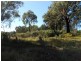 209 Blue Mantle Road, Wyangala NSW 2808