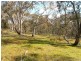 Lot/33 Cobb Drive, Woodstock NSW 2538