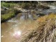 Lot/33 Cobb Drive, Woodstock NSW 2538