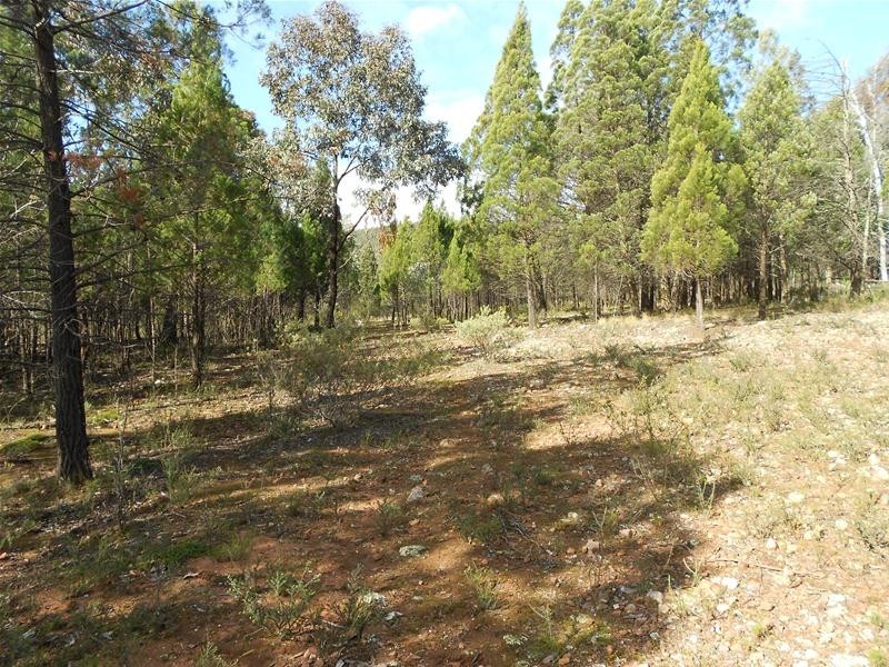 Lot/23 Kangarooby Road, Gooloogong NSW 2805