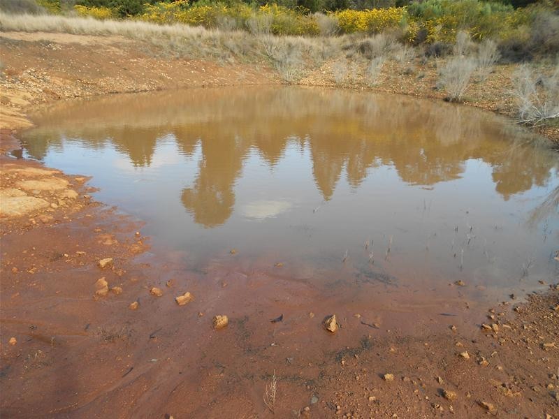 Lot/23 Kangarooby Road, Gooloogong NSW 2805