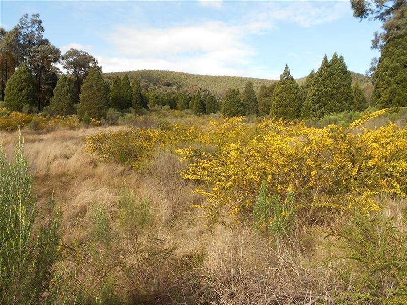 Lot/23 Kangarooby Road, Gooloogong NSW 2805