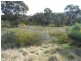 Lot/23 Kangarooby Road, Gooloogong NSW 2805