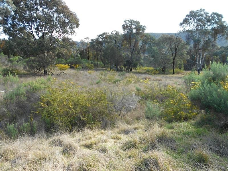 Lot/23 Kangarooby Road, Gooloogong NSW 2805
