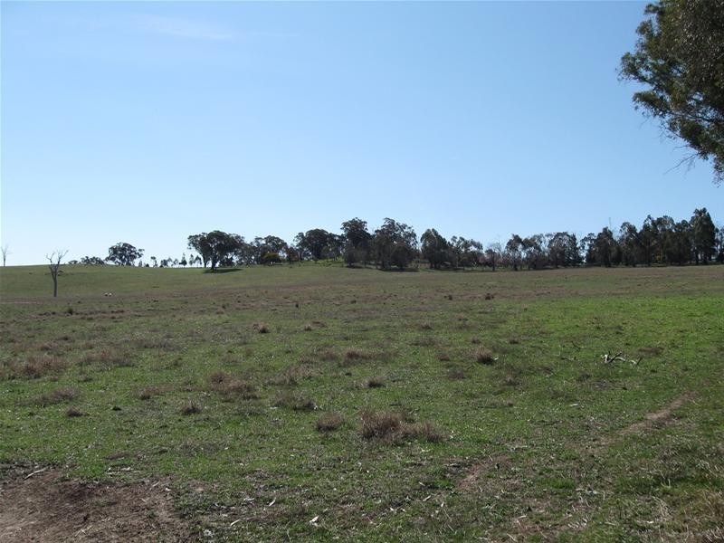 60 Meadows Lane, Lyndhurst NSW 2797