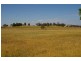 2 Of 19 Willowvale Road, Cowra NSW 2794