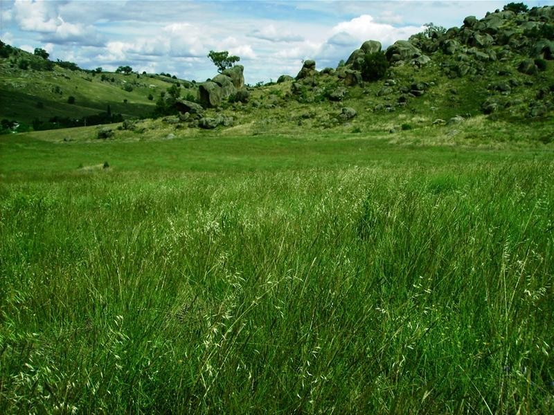 Lot/5 Glen Avon Road, Darbys Falls NSW 2793