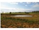 Canowindra Road, Cowra NSW 2794