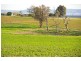 Canowindra Road, Cowra NSW 2794