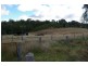 Grenfell Road, Cowra NSW 2794