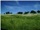 Grenfell Road, Cowra NSW 2794