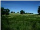 Grenfell Road, Cowra NSW 2794