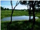 Grenfell Road, Cowra NSW 2794