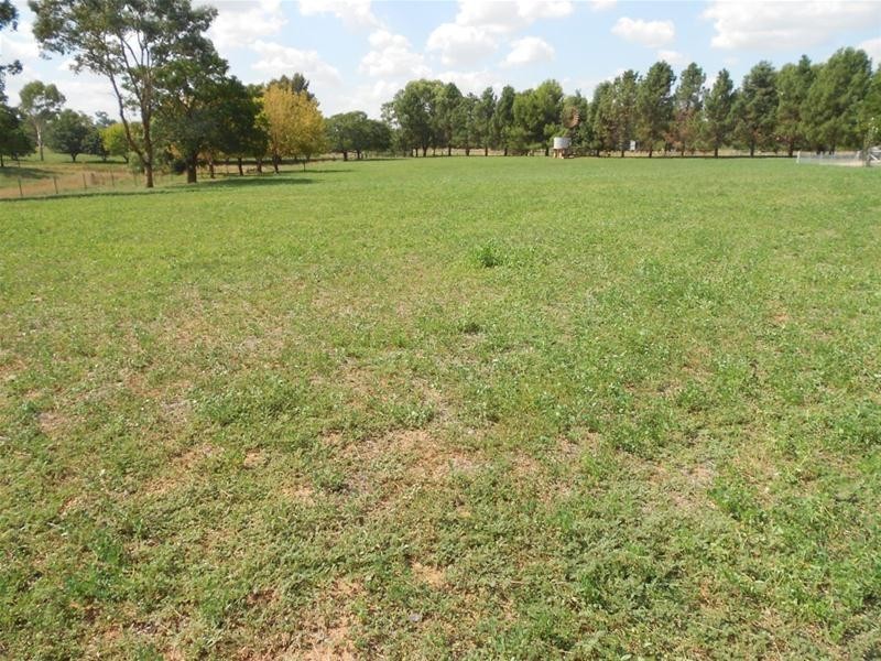 39 Elouera Road, Cowra NSW 2794