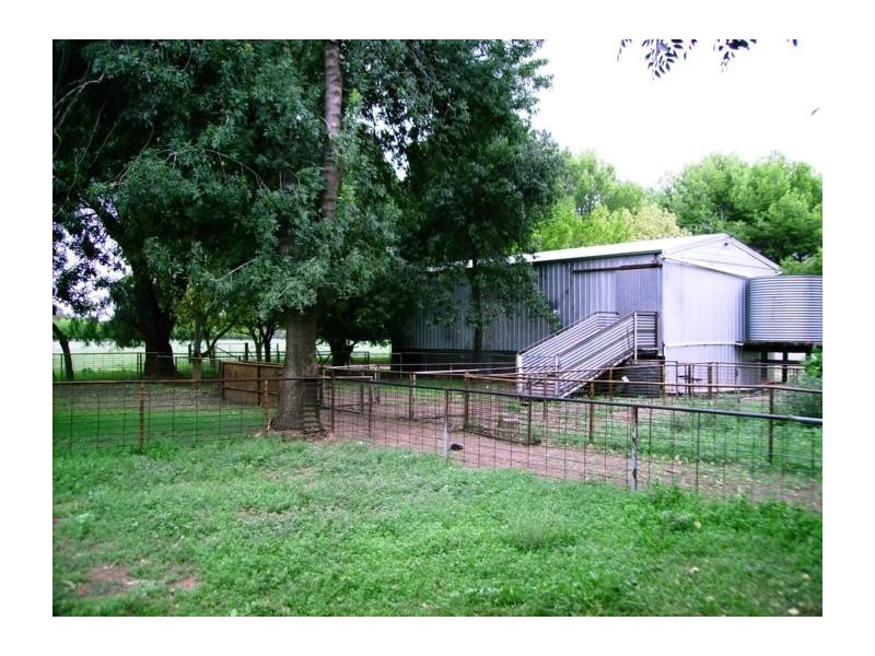 39 Elouera Road, Cowra NSW 2794