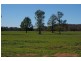 Grenfell Road, Gooloogong NSW 2805