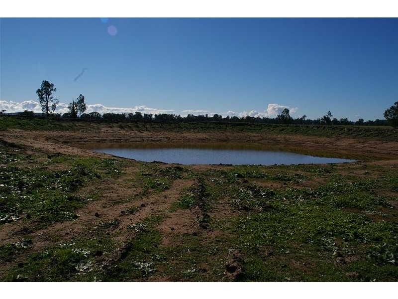 Grenfell Road, Gooloogong NSW 2805