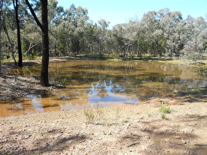 Stoney Hill Road, Cowra NSW 2794