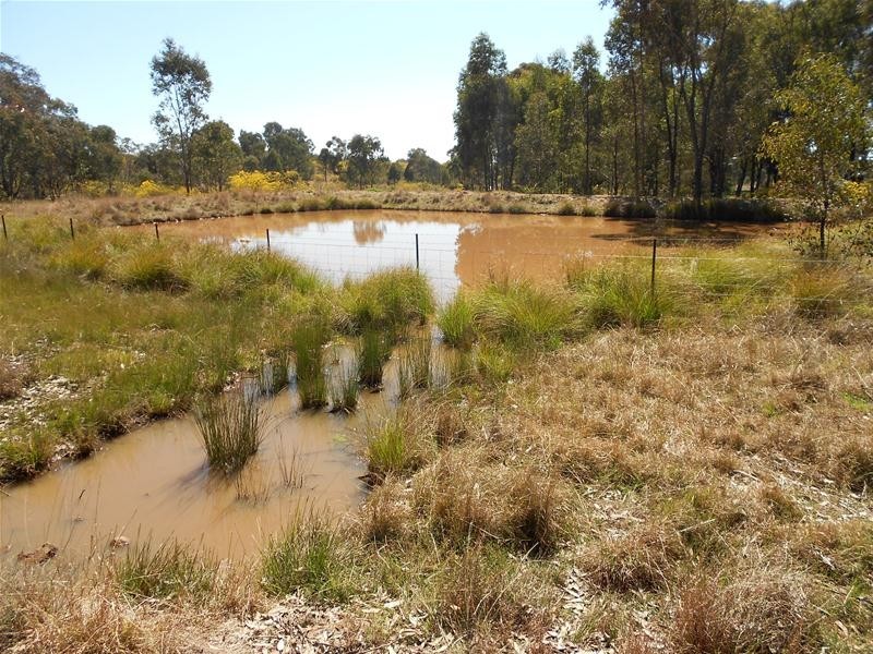 Stoney Hill Road, Cowra NSW 2794